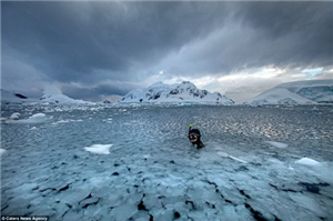Bơi trong làn nước -2 độ C ở Nam Cực